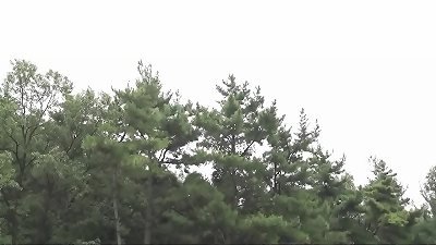 MOM&rsquo;S DIARY 2020. https://www.osirixhd.com